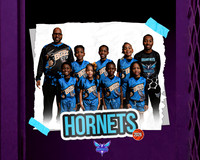 2026 Mobile Hornets