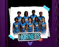 10U Teal